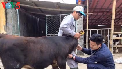 Young teacher creates employment opportunities for students