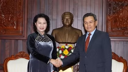 NA backs cooperation between Vietnamese, Lao fronts