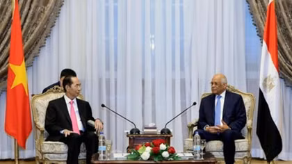 President: Vietnam maintains friendship with Egypt via different channels