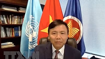 Vietnam committed to combating terrorism at online UN meeting