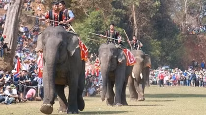 Vibrant atmosphere at elephant and boat racing festivals on Lak Lake