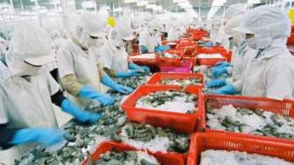 Impressive achievements in Vietnam’s exports in 2017