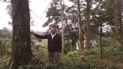 Man spends years to grow forest