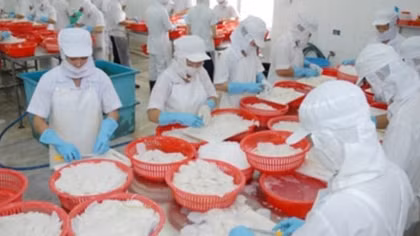 Netherlands – Vietnam’s fruitful export market in EU