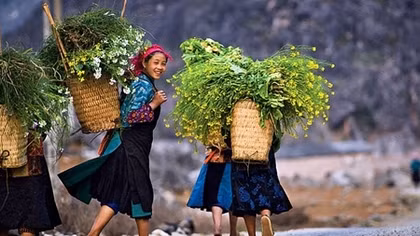 Sixth Vietnam Heritage Photo Awards launched