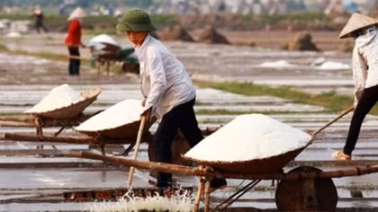 Salt price increases, middlemen benefit