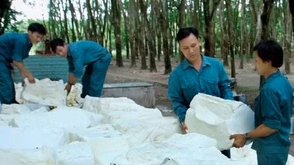 Dorufoam expands export to Russia, Europe, American markets