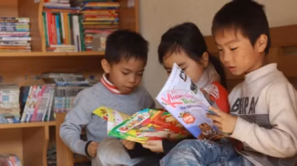 Free libraries inspires reading in rural areas
