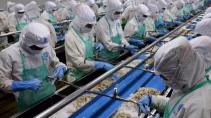 Vietnam promotes seafood exports to Europe