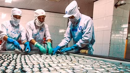 Surrogate country and surrogate value promote Vietnamese exports to US