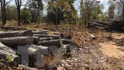 Workshop seeks to expand forest resource monitoring system by tablets