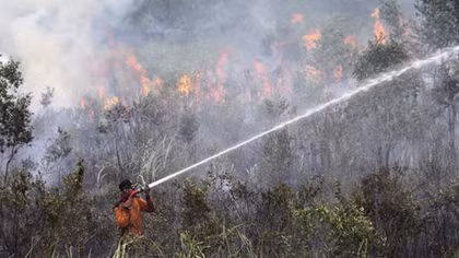 Indonesia: Over 39,000 people affected by haze smoke