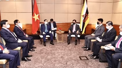 Vietnam, Brunei to expand all-round cooperation