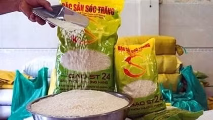 Local firms urged to boost brand protection for ST25 rice in US