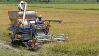 Sustainable agriculture development in ASEAN integration