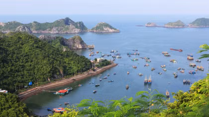 Hai Phong re-nominates Cat Ba for UNESCO World Heritage