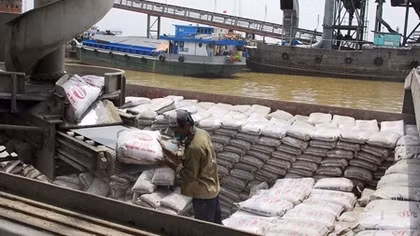 Domestic cement consumption down, export market bright