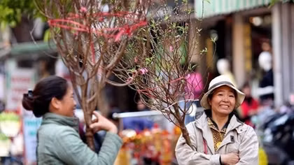 Busy Tet preparations across Vietnam