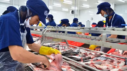 Seafood sector aims high despite barriers in international market