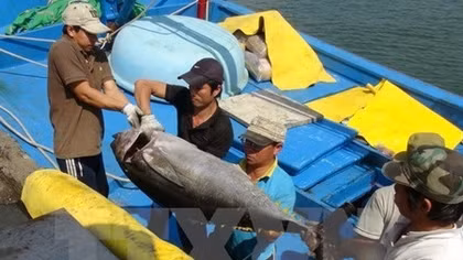 Cooperative groups connect fishermen at sea