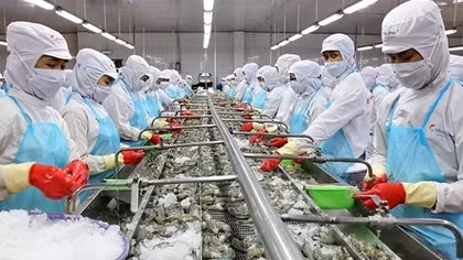 Shrimp exporters eye over US$4 billion in export in 2021