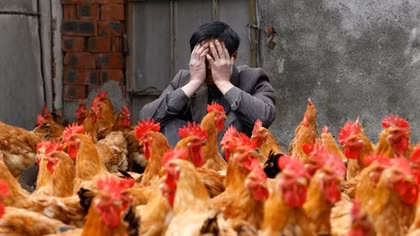 Vietnam facing high risk of H7N9 avian virus