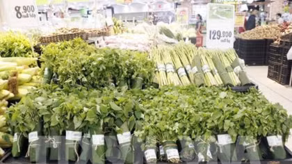 Green consumption campaign kicks off in HCM City
