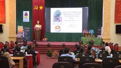 Experts condemn China’s violation of international law in the East Sea