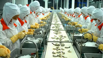 Vietnam to become global seafood processing centre