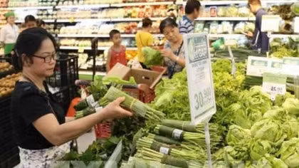 Hanoi says no to plastic bags, disposable plastic products