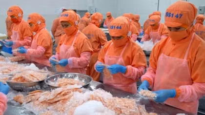 CPTPP – a driver of shrimp export to Canada