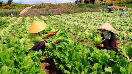 Vietnam boasts huge potential for green growth