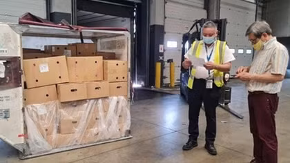First batch of Vietnamese lychee arrives in France's Paris