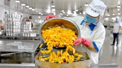 First-half GDP growth for Vietnam projected at 5.8%