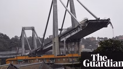 Sniffer dogs and cranes help rescuers at scene of Italian bridge collapse