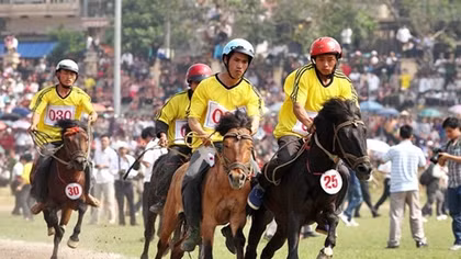 Bac Ha horse race attracts thousands of spectators