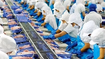 Aquatic product exports in Q1 predicted to hit 1.64 bln USD