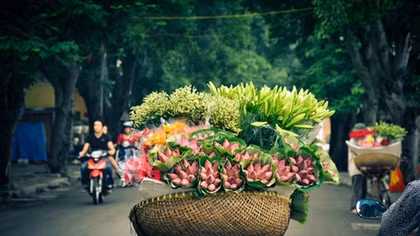 Hanoi, HCM among fastest-growing tourist cities in the world