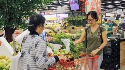 Outlook for Vietnam’s economy remains sound in 2019: IMF
