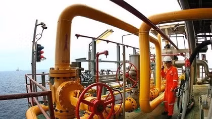 PetroVietnam tops list of 500 lead earners