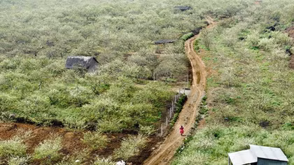 Top 10 places to go in Moc Chau this summer