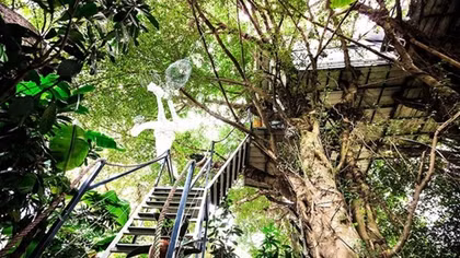Amazing homestay on the outskirts of Hanoi