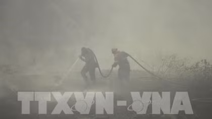 Indonesia mulls 113 million USD to tackle forest fires