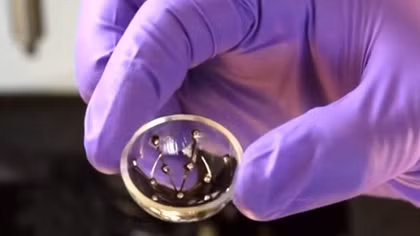 3D printed ‘bionic eye’ looks likely following breakthrough