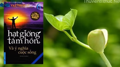 Tri Viet presents 25,000 copies from “Seeds for the soul” bookshelf to prisons and centers for disabled people 