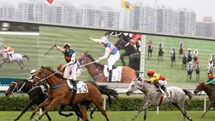 Hanoi to build 500 million USD horse racing track