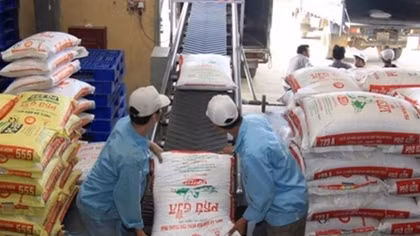 Vietnam imports largest volume of cattle feed from Argentina