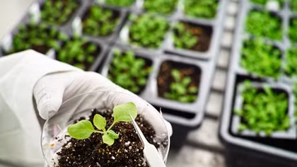 APEC Food Security Week to take place in Can Tho
