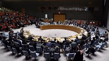 Vietnam well prepared for non-permanent seat at UNSC: Indonesian ambassador