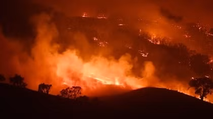  Australia fires are harbinger of planet’s future, say scientists